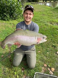 Rainbow Trout