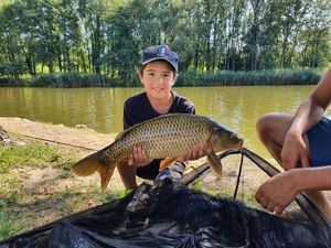 Common Carp