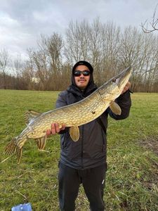 Northern Pike