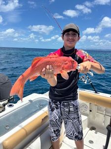 Bluespotted seabass