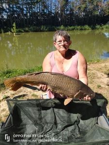Mirror Carp