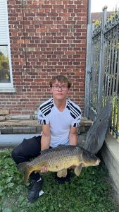 Common Carp