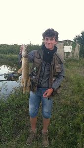 Northern Pike