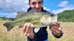 Largemouth Bass