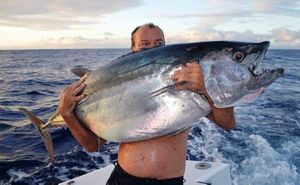 Southern Bluefin Tuna