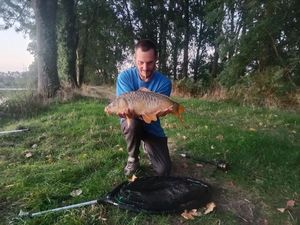 Mirror Carp
