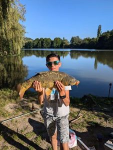 Mirror Carp