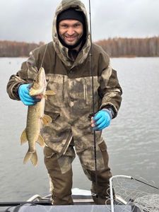 Northern Pike