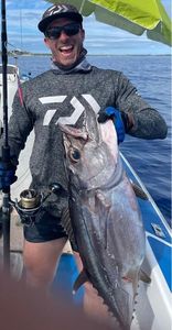 Dogtooth Tuna