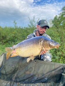 Leather Carp