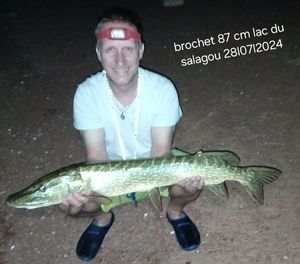 Un brochet 