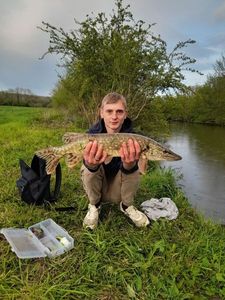 Northern Pike