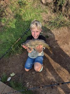 Common Carp