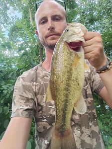 Largemouth Bass