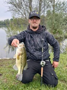Largemouth Bass