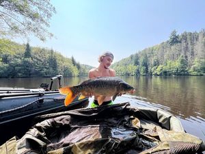 Mirror Carp