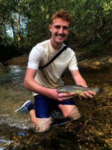 Brown Trout