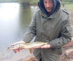 Northern Pike