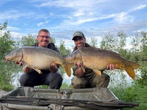 Mirror Carp