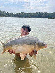 Mirror Carp