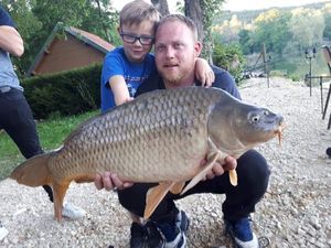 Common Carp