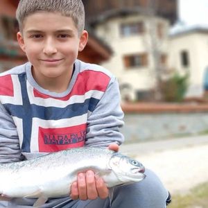 Rainbow Trout