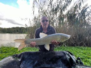 Grass Carp