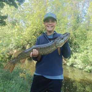 Northern Pike