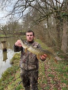 Northern Pike