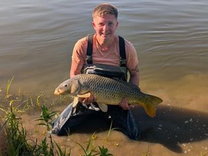 Common Carp