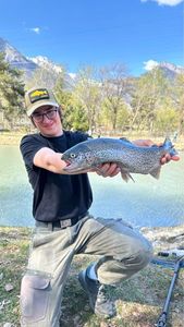 Rainbow Trout