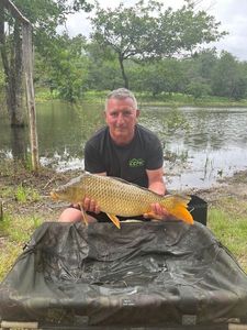 Common Carp