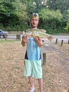 Largemouth Bass