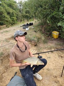 Common Carp
