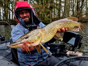 Northern Pike