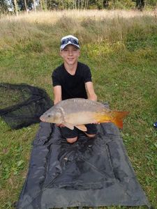Mirror Carp