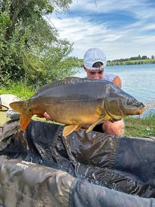 Leather Carp