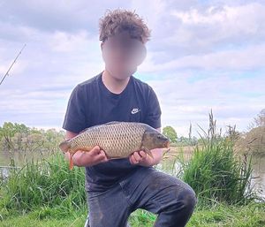 Common Carp