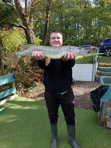Northern Pike