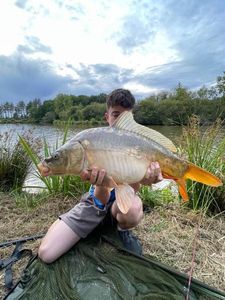 Mirror Carp