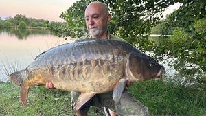 Mirror Carp
