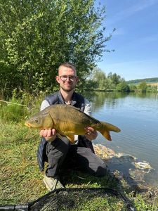 Mirror Carp