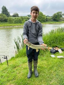 Northern Pike