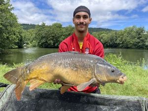 Mirror Carp