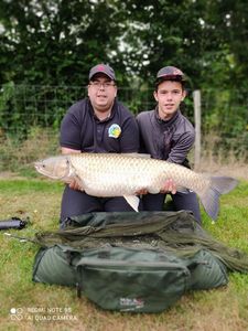 Grass Carp