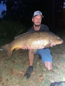 Common Carp