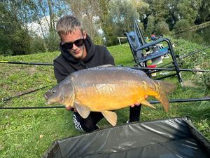 Mirror Carp