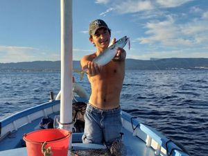 Mackerel