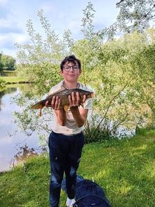 Common Carp