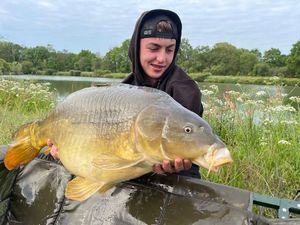 Mirror Carp